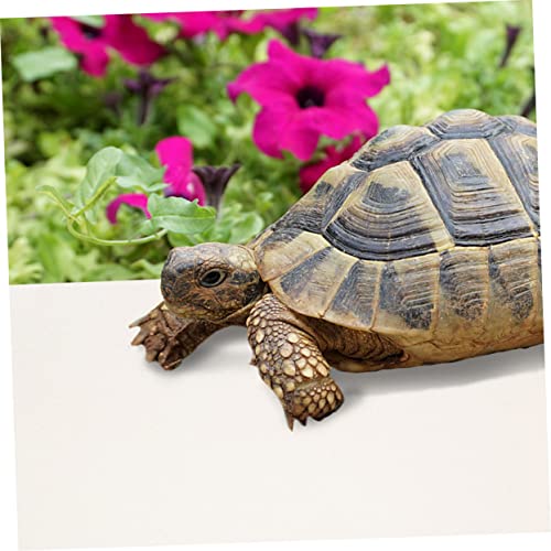 Reptile Carpet Mat for Leopard Gecko Bearded Dragon Lizard Snake Turtle Waterproof Non-Toxic Soft Bedding for Terrarium Accessories - color: White