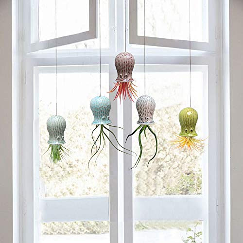 5 Pack Air Plant Holder Unique, Cute Octopus Air Plant Hanger Wall Planter, Ceramic Tillandsia Airplants Holders Hanging Wall Decor for Home Office (Small (2 x 3.2 in)) - size: Octopus-Small (2 x 3.2 in)