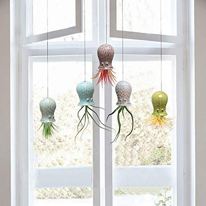 5 Pack Air Plant Holder Unique, Cute Octopus Air Plant Hanger Wall Planter, Ceramic Tillandsia Airplants Holders Hanging Wall Decor for Home Office (Small (2 x 3.2 in)) - size: Octopus-Small (2 x 3.2 in)