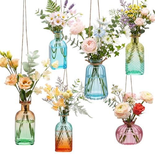 6 Pcs Stained Glass Hanging Vases Hanging Glass Planters 4 Styles Small Plant Terrarium Pot Containers with Rope for Garden Home Indoor Outdoor Decor Holders Wall Windowsill