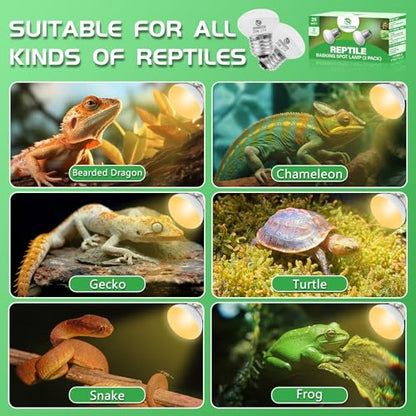 Reptile Heat Lamp Bulbs, UVA Reptile Heat Bulb 2 Pack, 25 Watt Heat Light Bulbs, Daylight Basking Spot Light for Lizard, Bearded Dragon, Snake, Gecko - color: 25*2