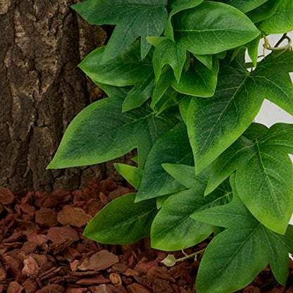 Fake Sweet Potato Vine, Reptile Climbing Hanging Suction Plants | For Crested Gecko Lizard Snake Terrarium Habitat - color: Fake Sweet Potato Vine