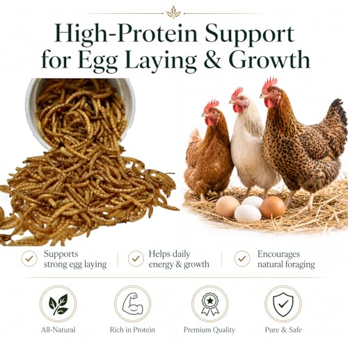 2LB Dried Mealworms +2 Preserved Worm Packs for Chickens & Birds | High-protein treat for chickens, ducks, wild birds, reptiles, turtles & fish