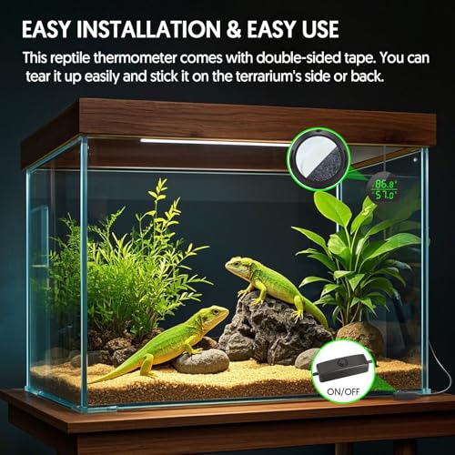 QZQ Reptile Thermometer and Humidity Gauge, Digital Display, 2-Pack Black | LED Thermometer Hydrometer, Reptile Tank Accessories for Bearded Dragon, Crested Gecko, Snake, Lizard, USB Power Supply - color: Black - 2 Pack