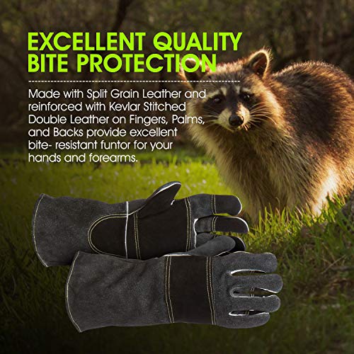 Suse's Kinder Protective Gloves, Professional Animal Handling for Dog Cat, Falconry Parrot - size: Medium