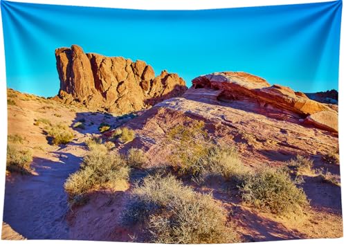 7x5FT Desert Backdrop Reptile Habitat Blue Sky Desert Rocky Bush Natural Scenery Photography Background Aquarium Background Hiking Camping Pictures Home Decor Photo Studio Props - color: Natural landscape backdrop 3