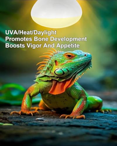 Reptile Heat Lamp Bulbs 100W UVA Basking Bulb for Bearded Dragon 2 Pack | Simulates Natural Sunlight. High-Temp Resistant. Ideal for Bearded Dragon, Lizard, Turtle, Snake.