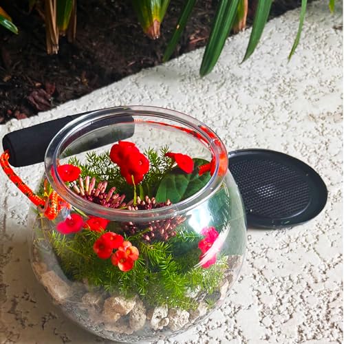 Dry Branch Sports Design Catch and Release Beach Aquarium Kit , Clear