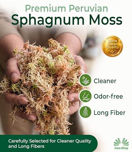 Inkashop Long Fiber Sphagnum Moss for Reptiles Terrarium Bedding Hide 3.5oz | snake bedding, reptile substrate and humidity control, leaf litter for tarantula isopod jumping spider, peruvian dried moss