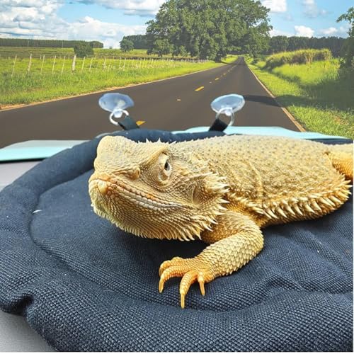 Beard Dragon Car Travel Mat Washable Reusable Sleeping Bed Adsorbed on Glass Jar Cushion for Small Pet Reptile Lizard Leopard Gecko (Black)