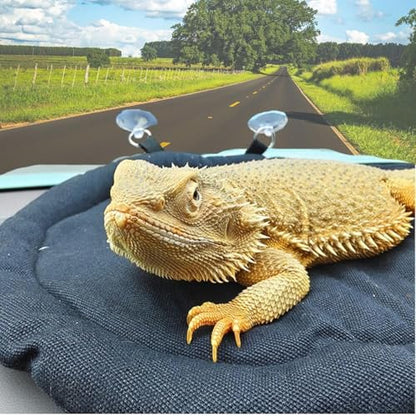 Beard Dragon Car Travel Mat Washable Reusable Sleeping Bed Adsorbed on Glass Jar Cushion for Small Pet Reptile Lizard Leopard Gecko (Black)