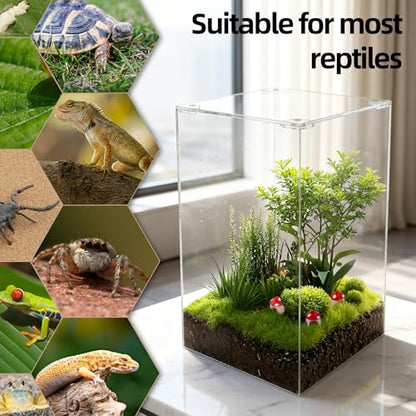Jumping Spider Enclosure Kit with 3 Mushroom Hides 1 Feeding Dish- 10x6x6 Inch Acrylic Vertical Reptile Tank for Tarantulas, Mantis, Hermit Crabs & Small Pets (Clear)