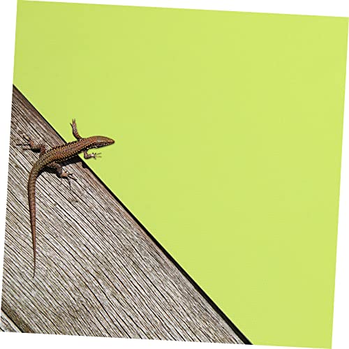 2pcs Reptile Tank Lizard Accessories Mat Substrate Liner for Bearded Dragon Reptile Carpet Mat for 10 Gallon Terrarium