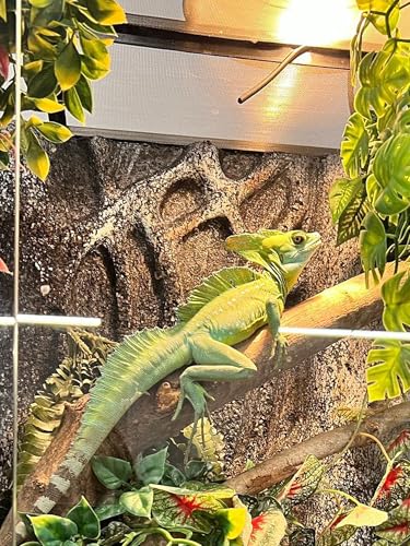 Heat Lamp Bulbs, 100 Watts UVA UVB Reptile Heat Bulb, 2 Pack | Full Spectrum, Basking Spot Light, Simulate Natural Sun Light, For Reptile and Amphibian, Silver - color: Pack of 2, size: 100 Watts