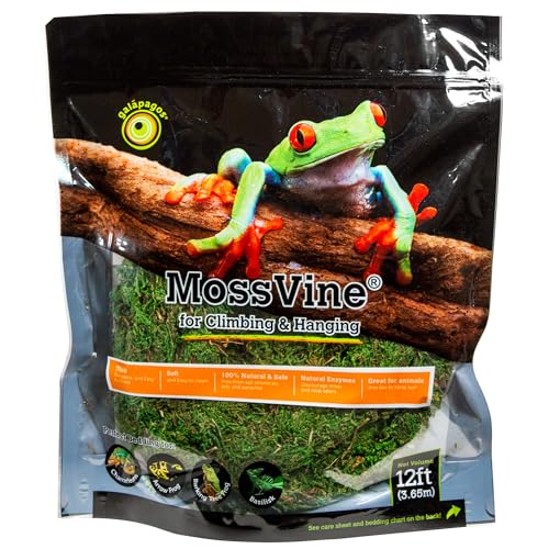 Galápagos (05266) MossVine, Real Moss Vine, 12FT, Green - size: 12 FT