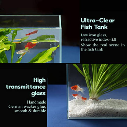 LAQUAL 3 Gallon Ultra Clear Glass Fish Tank, Rimless Low Iron Aquarium for Betta/Nano/Goldfish/Snail/Shrimp, Small Fish Tank with Fish Net & Cleaning Tools - color: 3 Gal