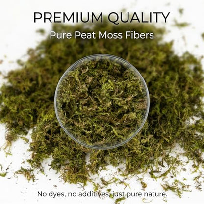 RAINFLOW Sphagnum Moss for Reptiles - 5 Oz Terrarium Reptiles Moss Green Dried Peat Moss Habitat Bedding Moss for Leopard Gecko Turtle Frog Snakes Lizards