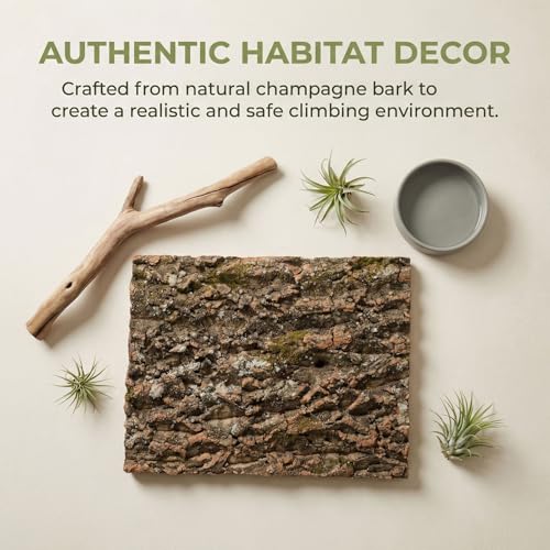DECHOUS 3Pcs Natural Cork Bark Flats for Reptiles Cork Bark Background for Reptile Tank Terrarium Wall Panel for Lizard Gecko Snake Climbing Decor 15.74 X 11.81 X 0.78