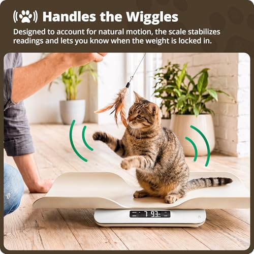 Greater Goods Wiggle-Proof Digital Pet Scale for Cats, Dogs & Small Animals | Weighs Puppies, Kittens & Senior Pets up to 44 lb, Removable Tray, Tare Function, Measures in lb, oz & kg for Growth Tracking