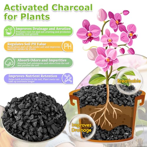8QT All Natural Horticultural Charcoal- Activated Hardwood Plant Charcoal for Soil Amendment, Conditioning Bonsai Soil, Succulent Soil, Terrarium Supplies, Indoor Plant Potting Soil - color: 8 QT
