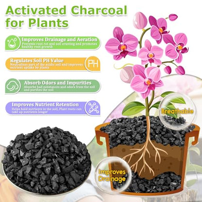 8QT All Natural Horticultural Charcoal- Activated Hardwood Plant Charcoal for Soil Amendment, Conditioning Bonsai Soil, Succulent Soil, Terrarium Supplies, Indoor Plant Potting Soil - color: 8 QT