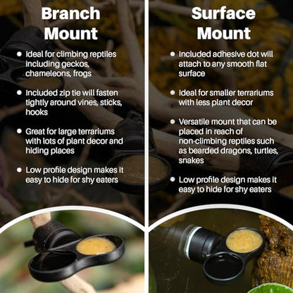 Pangea Microdish Kit for Micro Gecko Feeding, Water Bowl for Tiny Reptiles | Magnetic Attachment Dots Included 1.25in x .75in - size: XS Dual Surface Mount