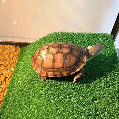 HIERYAN Turtle Basking Platform, Tortoise Ramp Reptile Tank Ladder Resting Terrace, Tortoise Ramp Reptile Ladder Resting Terrace Fish Tank Aquarium Turtle Dock Floating Décor, Large