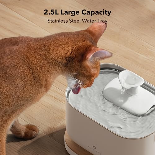 PETLIBRO Upgrade Cat Water Fountain, Dockstream 2 Smart App Monitoring Pet Water Fountain for Cats Indoor, 3L/101oz Cat Fountain Stainless Steel Tray for Drinking, 5G WiFi Auto Cat Water Dispenser Dog
