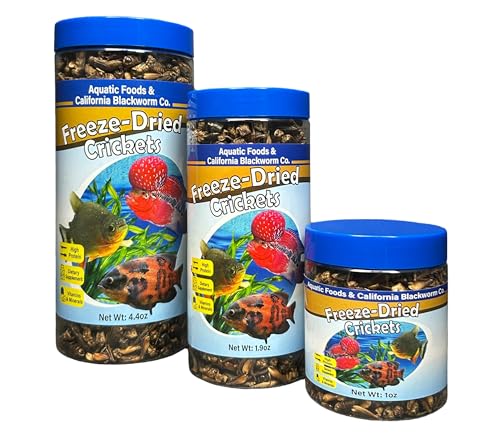 Crickets, Freeze Dried Crickets for Large Tropical Fish, Monster Fish, Reptiles, Turtles, Tortoises, Frogs, Hamsters, Birds, Rodents 3oz Canister - size: 3 Ounce (Pack of 1)