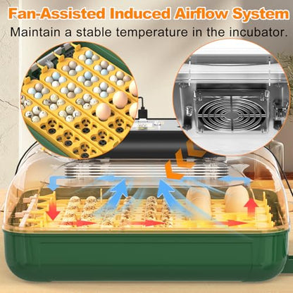 25 Egg Incubator for Hatching Eggs with Automatic Egg Turning, Temperature & Humidity Display, Hatch Day Countdown, Auto Water Refilling System, Egg Candler, Multifunctional Egg Tray for Chicken - size: M- 25 Chicken Eggs