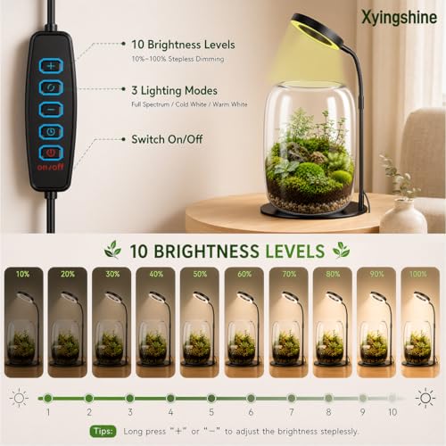 Desk Grow Light with Glass Terrarium, 5X Aperture | Full-spectrum LED, 3 modes, 10 brightness levels, USB power, 28-43 cm pole, 90° rotating head, for moss and succulents - size: 5X magnification