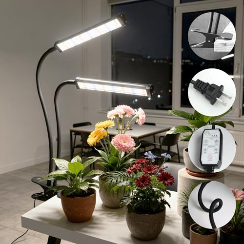Grow Light 100W 6000K, Super Bright White Desktop Clip Plant Lamp | Desk Lamp for Pot Seedlings Succulents Seeds Indoor Plants Growing,Bendable Gooseneck & Timer 4 8 12 H - size: 100Watts