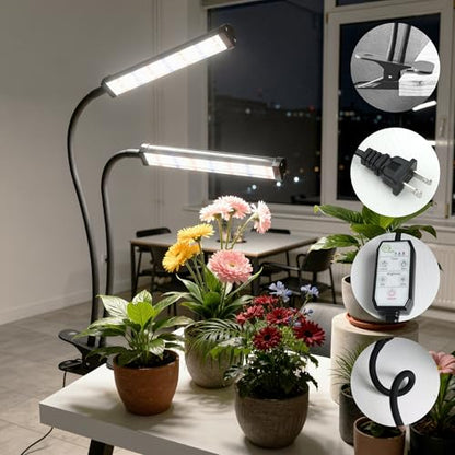 Grow Light 100W 6000K, Super Bright White Desktop Clip Plant Lamp | Desk Lamp for Pot Seedlings Succulents Seeds Indoor Plants Growing,Bendable Gooseneck & Timer 4 8 12 H - size: 100Watts