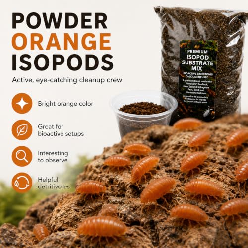 Bioactive Starter Kit | 30 Powder Orange Isopods | 8 oz Coco Temperate Springtail Culture | 2 qt Premium Isopod Substrate Mix
