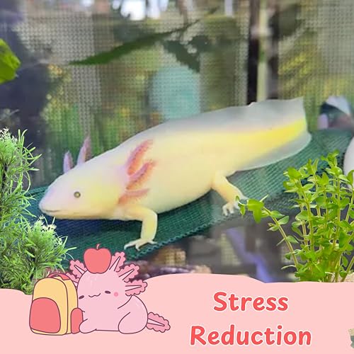 Axolotl Hammock For Aquarium with Ceramic Feeding Dish, Axolotl Hammock with Bowl, Reptile Triangle Hammocks with Tray Feeder, Axolotls Accessories For Tank, Bearded Dragon Tank Accessories (Black, S) - size: S