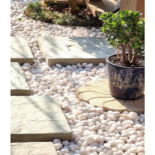 FANTIAN 20 lbs White River Rocks, 1-2 Inch Polished Pebbles for Indoor Plants, Decorative White Stones for Plants, Vase, Aquarium, Fish Tank, Landscaping and Garden - size: 1-2 Inch, style: 20 Pounds