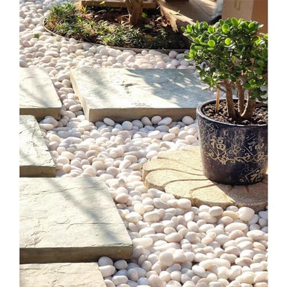 FANTIAN 2 lbs Polished White Pebbles for Pebbles, 1-2 Inch Smooth White River Rocks for Plants Potted Vases Fillers Fish Tank Landscaping and Outdoor Garden Decorative Rocks - size: 1-2 Inch, style: 2 Pounds