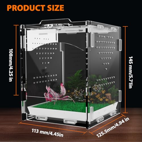 Acrylic Jumping Spider Enclosure, Insect Terrarium, Praying Mantis Habitat, Bug Enclosure, Arboreal Tarantula Enclosure Kit, Reptile Cage, Scorpion Lizard Tank