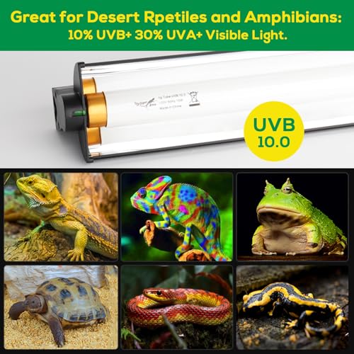 T5 UVB Reptile Light Fixture HO UVB Bulb Lighting Combo Kit, 10.0 UVB Light for Reptiles Terrarium Hood with 8W Reptile Light Bar UVA UVB Desert Lamp for Bearded Dragon Turtle Tank, 12 Inch - size: T5-12 Inch