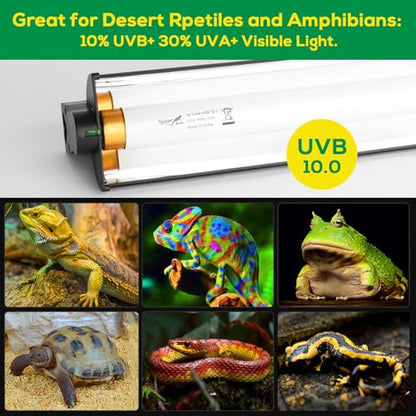 T8 10.0 UVB Reptile Light Fixture UVB Bulb Lighting Combo Kit, HO 17W UVB Light for Reptiles Terrarium Hood with Reptile UVB Light Bar UVB Tube Light Lamp Desert for Bearded Dragon Turtle Tank, 24Inch - size: T8-24Inch