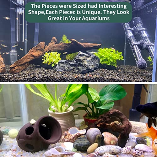 Hamiledyi 5 Pcs Driftwood Branches Aquarium Wood Decoration Natural Fish Tank Habitat Decor Wood for Lizard Assorted Size-Small