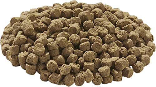 Tetra TetraFauna Hermit Crab Cakes Food Pellets for All Land Crabs, 1.58 oz | Complete Daily Diet for Hermit, Fiddler & Caribbean Crabs, High-Protein For Optimal Growth, Supports Exoskeleton Development - size: 1.58 Ounce (Pack of 1)