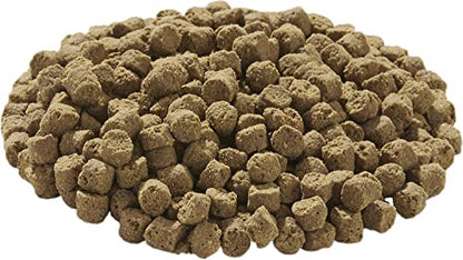 Tetra TetraFauna Hermit Crab Cakes Food Pellets for All Land Crabs, 1.58 oz | Complete Daily Diet for Hermit, Fiddler & Caribbean Crabs, High-Protein For Optimal Growth, Supports Exoskeleton Development - size: 1.58 Ounce (Pack of 1)