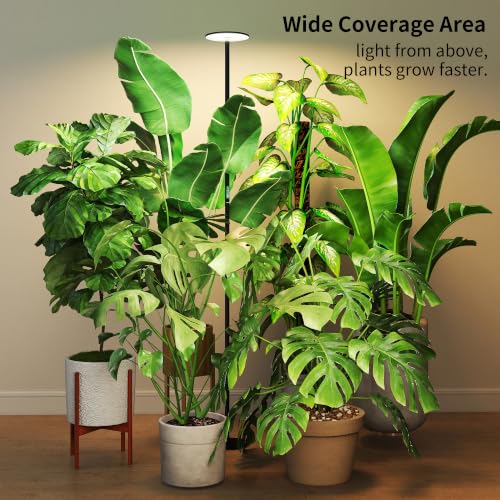 Grow Lights, 85" Full Spectrum Plant Light for Indoor Plants, 4/8/12H Timer, 40W Grow Lamp, 10 Dimmable Brightness, Height Adjustable, Ideal for Large Tall Plants - color: 2300-6500K, 4/8/12 Timer, Remote