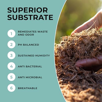 Mycelium Coco Coir Brick I Expandable Organic Coconut Fiber Substrate for Terrarium I Ideal for Reptiles Bedding, Nesting & Burrowing I OMRI Certified & Non-GMO Soil Alternative, 10lbs - style: Reptile Terrarium