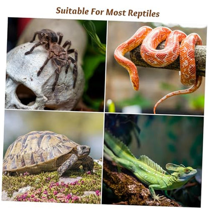 Kichvoe 6pcs Reptile Terrarium Buckle Lock Clips for Glass Turtle Feeding Tank Easy Install Escape Locks for Tropical Amphibian and Insect Boxes Lightweight Secure Latches for Breeding