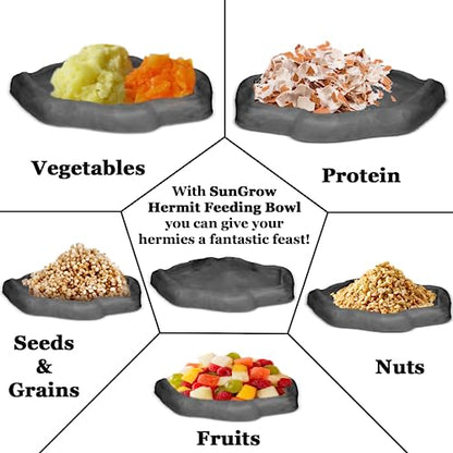 SunGrow Leopard Gecko Water Bowl, Hermit Crab Bathing Pool, 5 x 5.5 Inches, Reptile Food Bowl and Supplies, Water Dish and Climber, Charcoal Color, 1 Pc/Pack