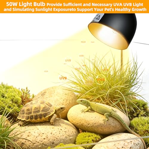 COOSPIDER 50W Turtle Basking Light Reptile Heat Lamp with Clamp & Timer | Fixture 360° Rotatable Hose with 2 Spare G9 Base Bulbs for Plants Small Reptiles Bearded Dragon Lizard Snake