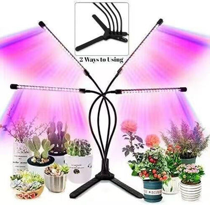 LED Grow Lights for Indoor Plants 2-Pack, Full Spectrum & Red Blue Spectrum Plant Growing Lamps with 3/9/12H Timer, 10 Brightness Levels, Clip-on Desk Plant Lights for Seedlings, Succulents, Flowers - size: 4 heads 2 pack