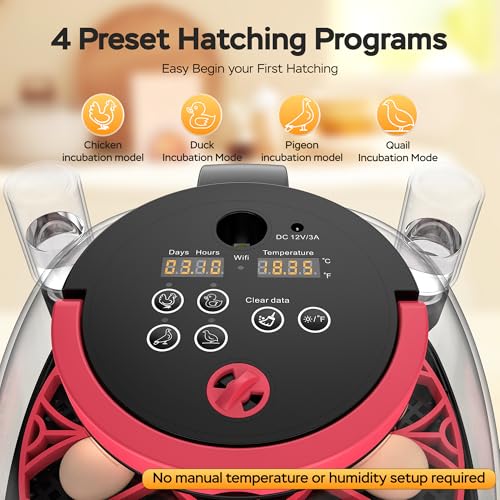 Full Automatic 12 Egg Incubator with APP Control & Video Record, Automatic Egg Turning, Temp & Humidity Control, for Beginner & Study & Small Farm, Ideal for Parrot Quail Chicken Hatching